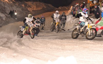 Skijöring am 31.01.2026